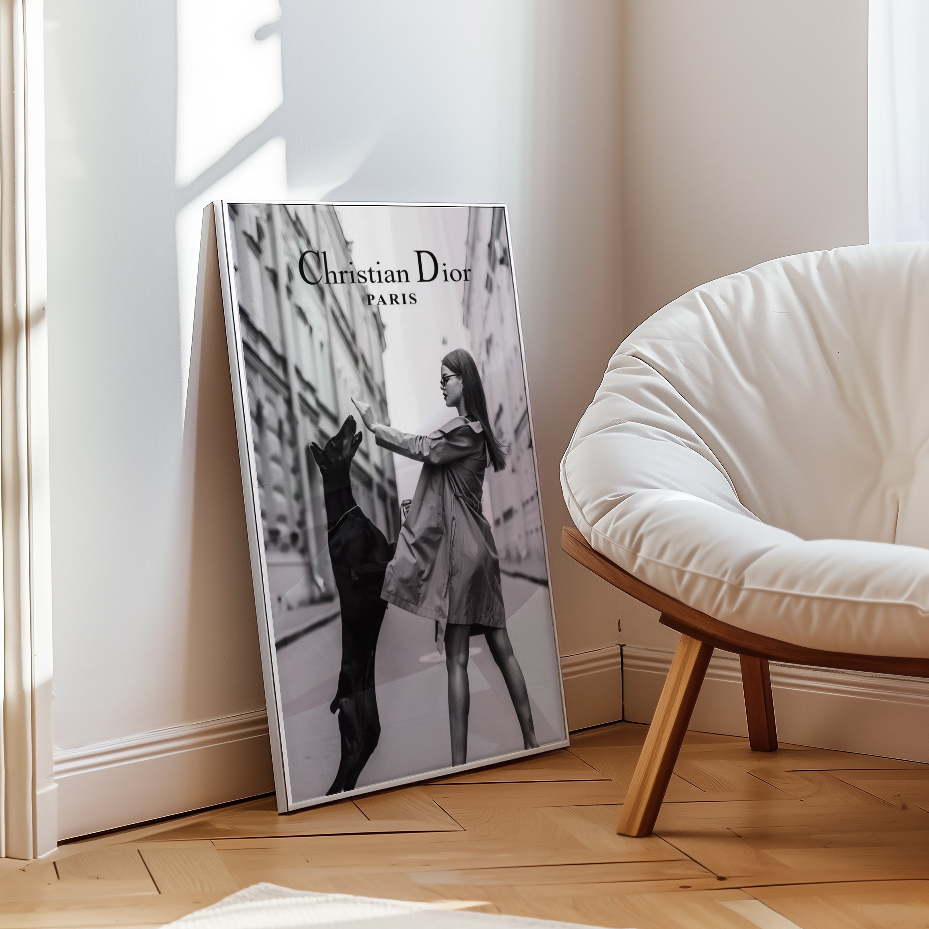 Christian Dior Paris Poster