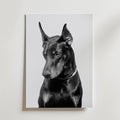 Noir Doberman Poster