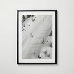 Midnight Bloom Katteplakat