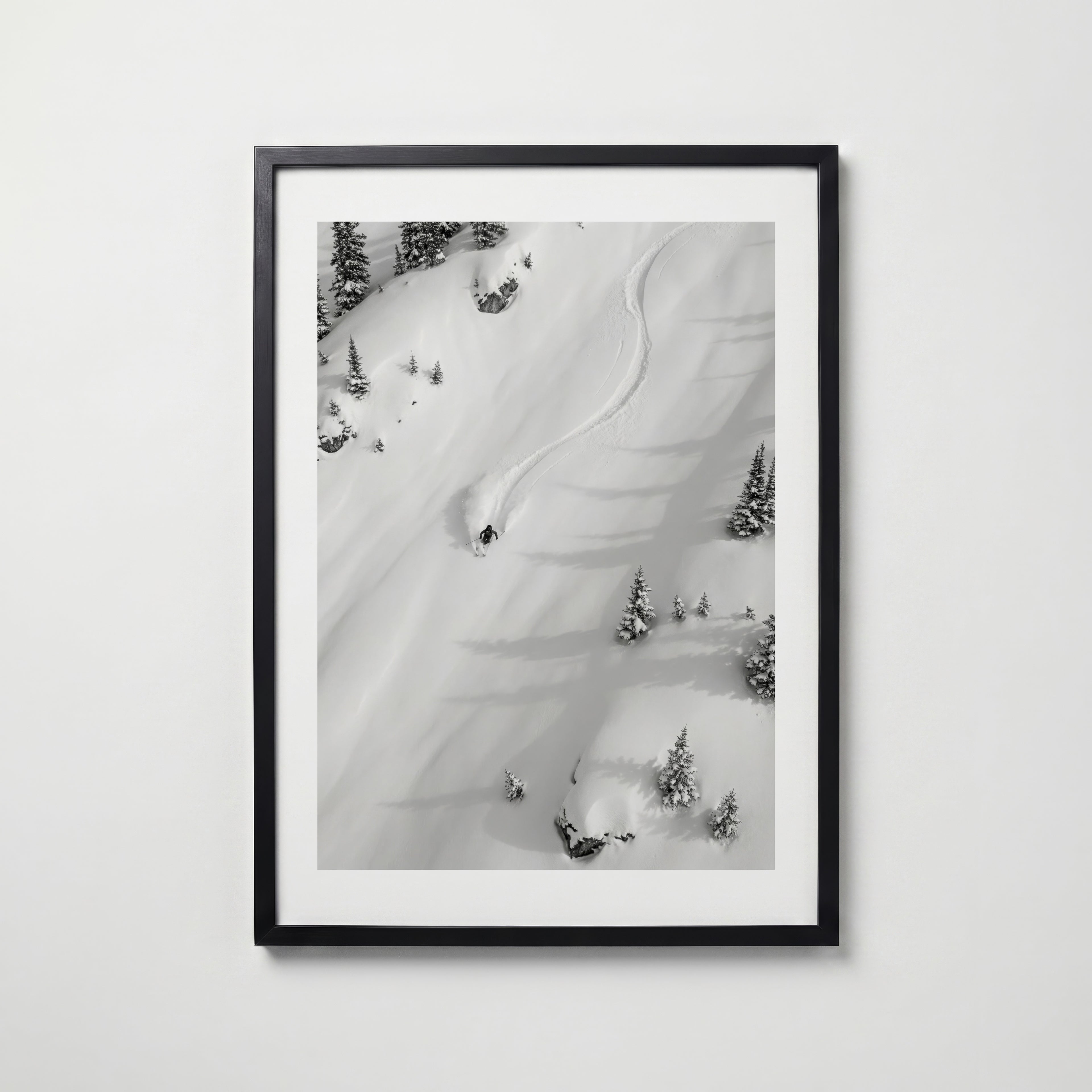 Midnight Bloom Katteplakat