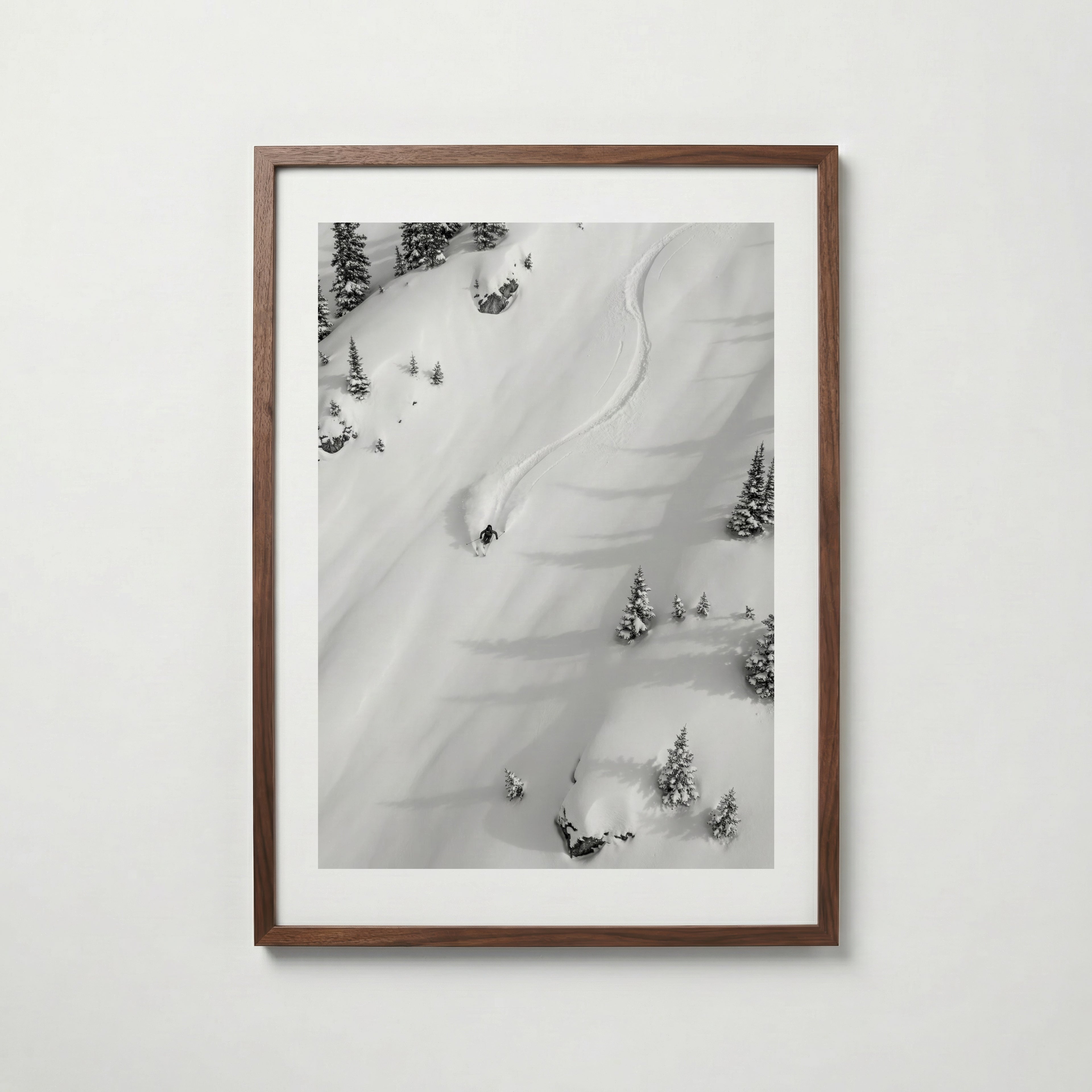 Midnight Bloom Katteplakat