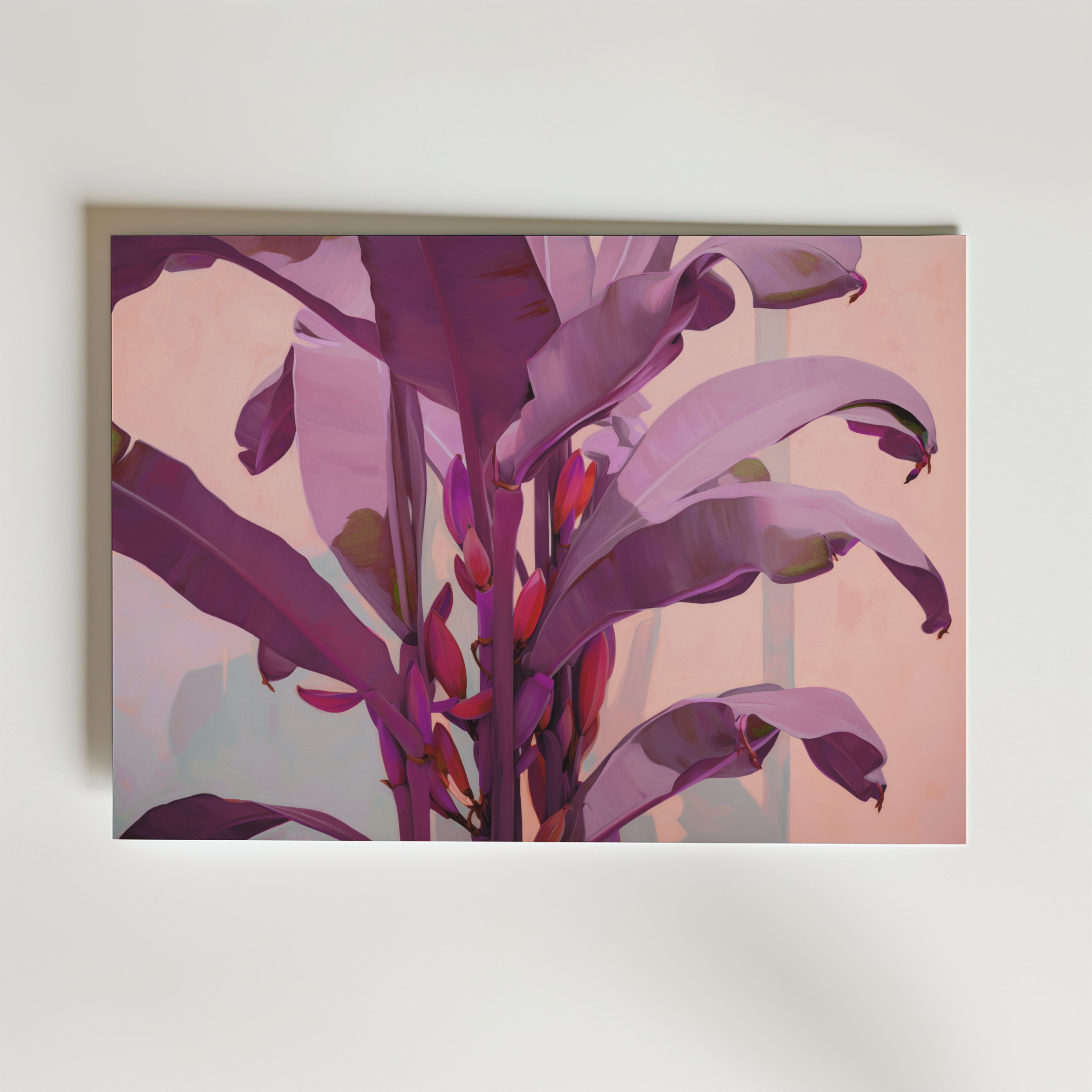 Postern Banana Bloom Poster från Bozetto visar livfulla lila bananblad och röda bananer på en pastellrosa bakgrund och fångar en minimalistisk, modern stil med djärva penseldrag och en slående tropisk atmosfär.