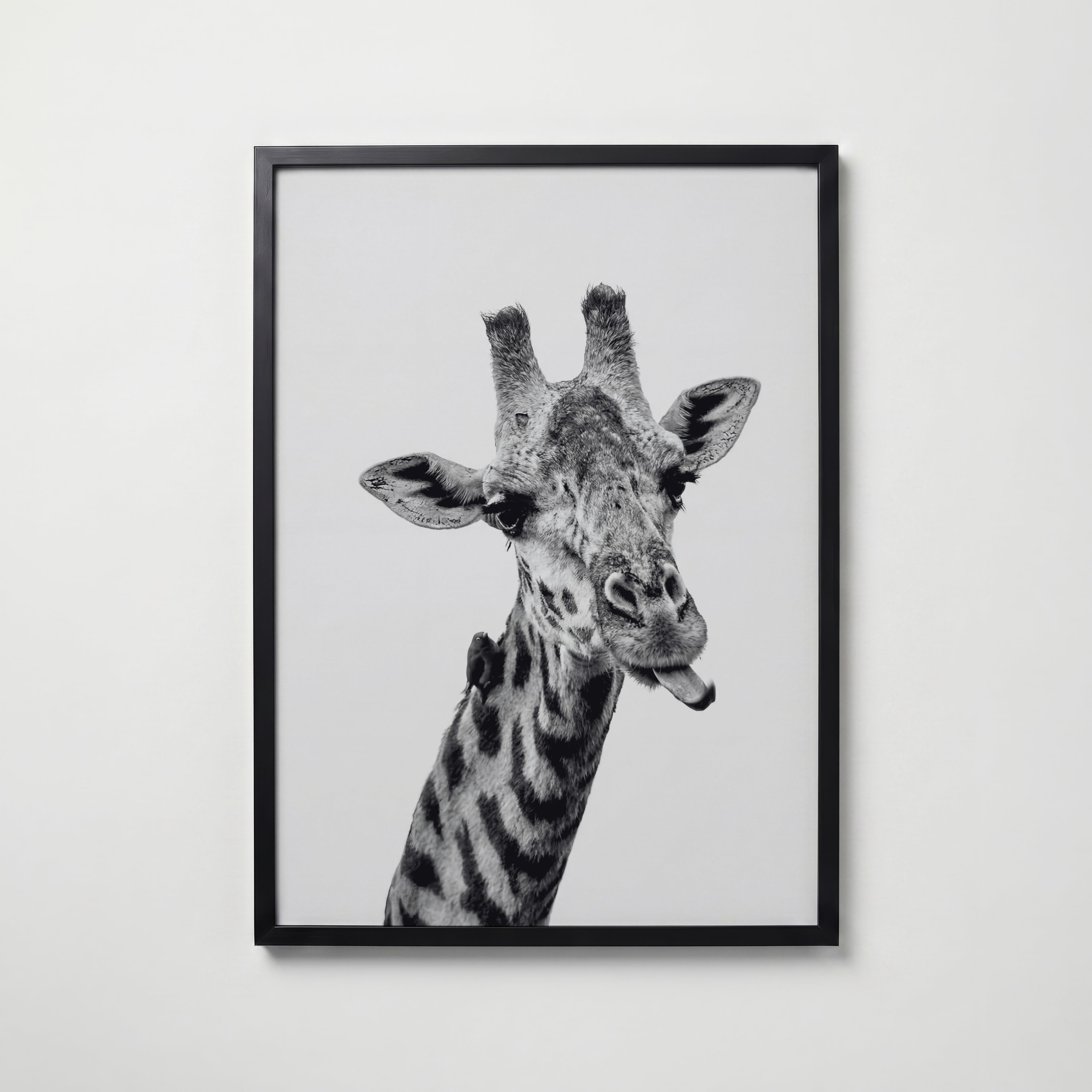 Cheeky Giraffe Poster – svart ram