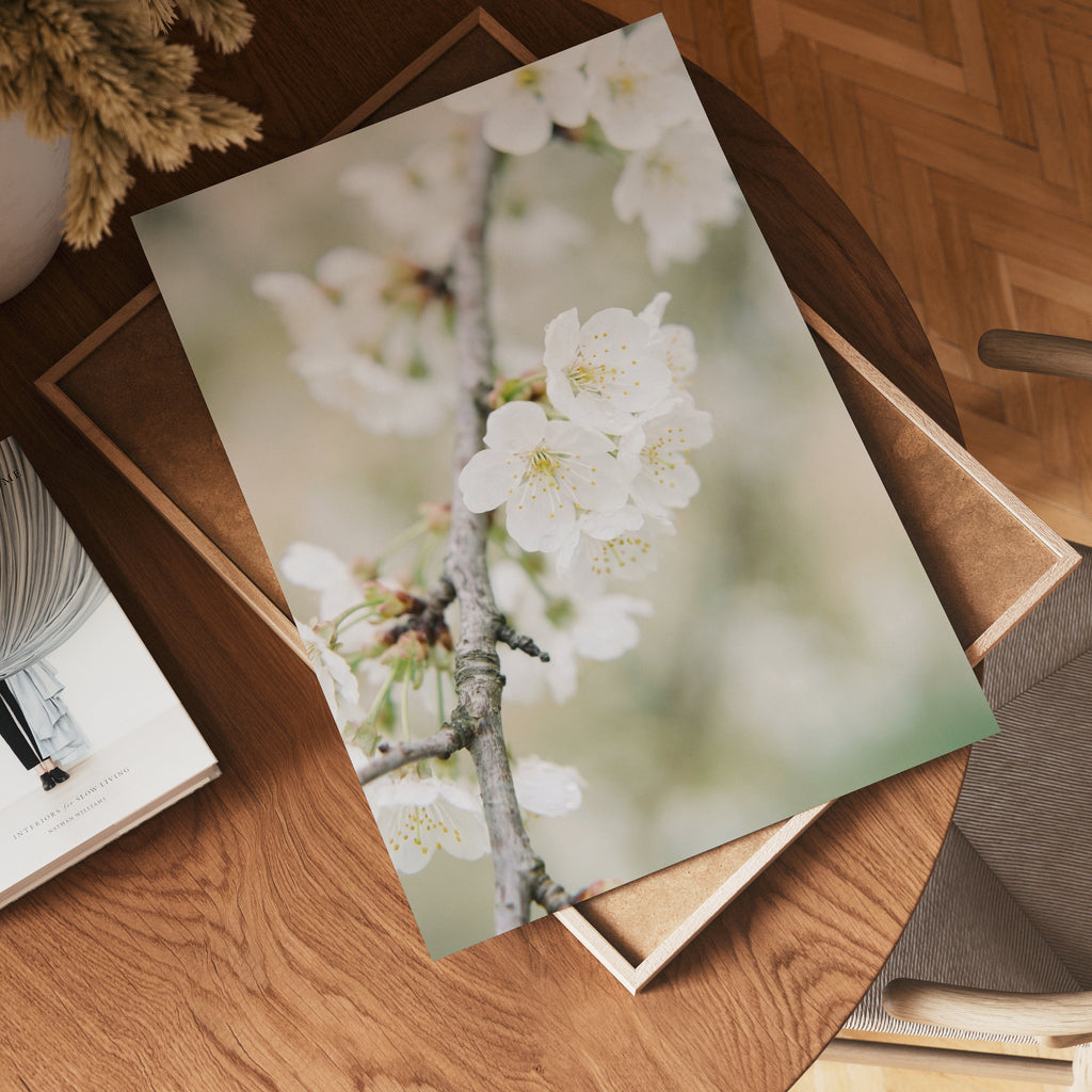 Blossom Serenity Poster affisch – köp poster online – Bozetto väggdekoration