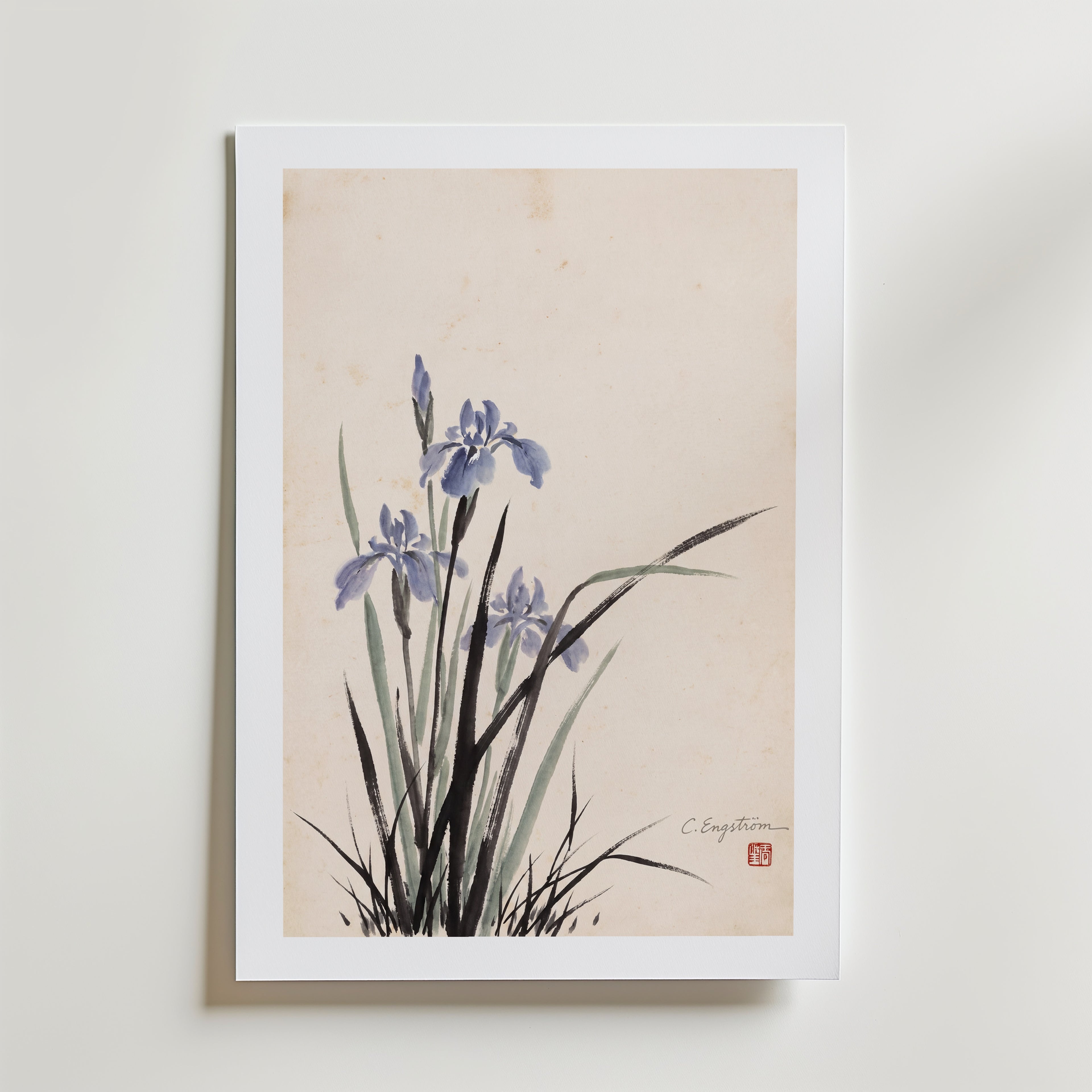 Iris By Caroline Engström – med passepartout