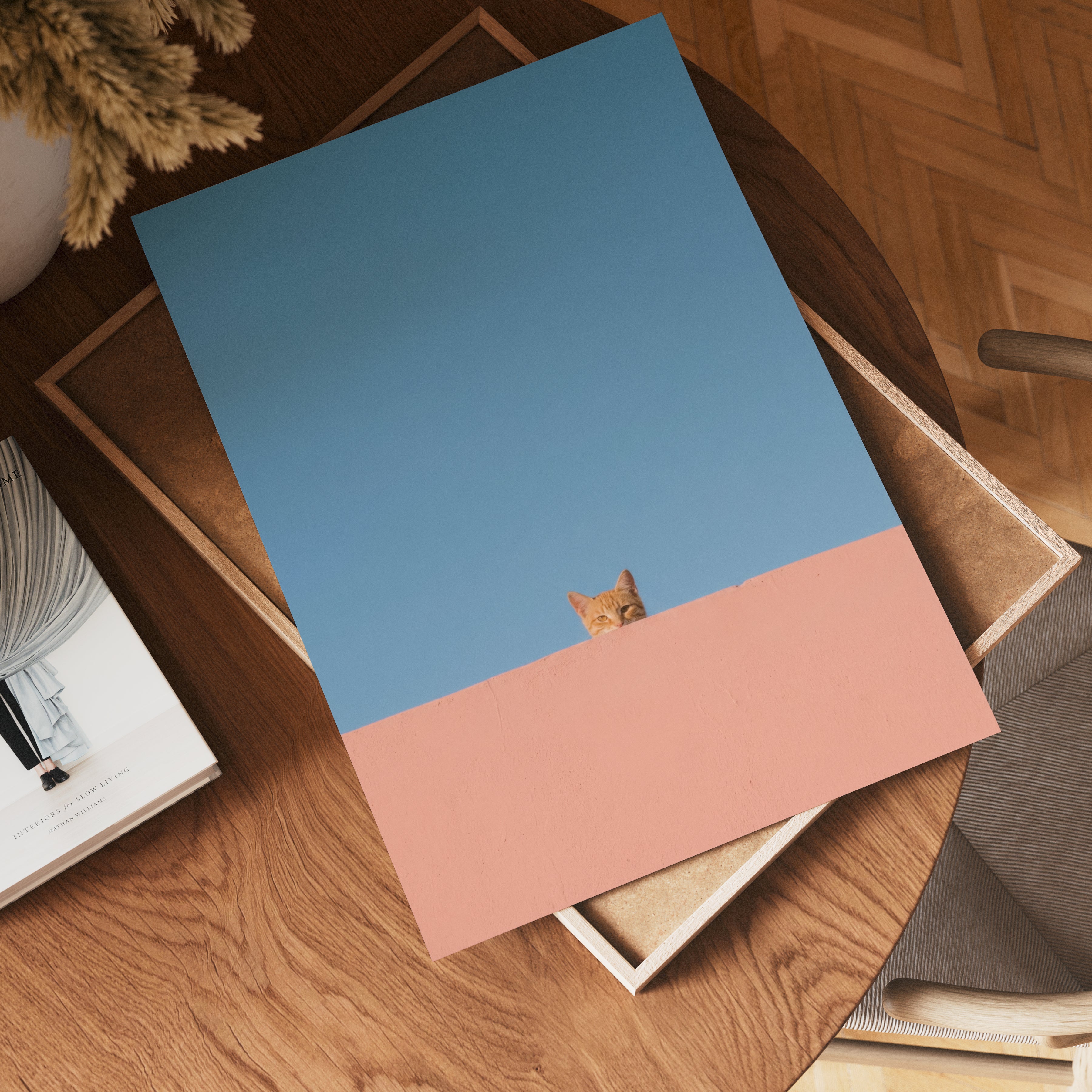 Curious Cat Horizon Poster – poster väggdekoration
