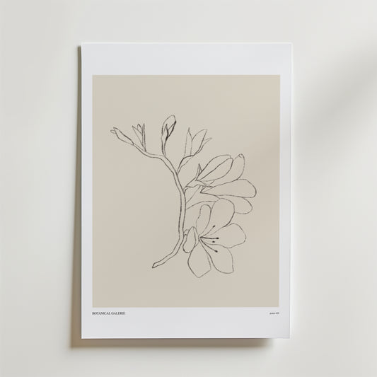 Fleeting Beauty Poster