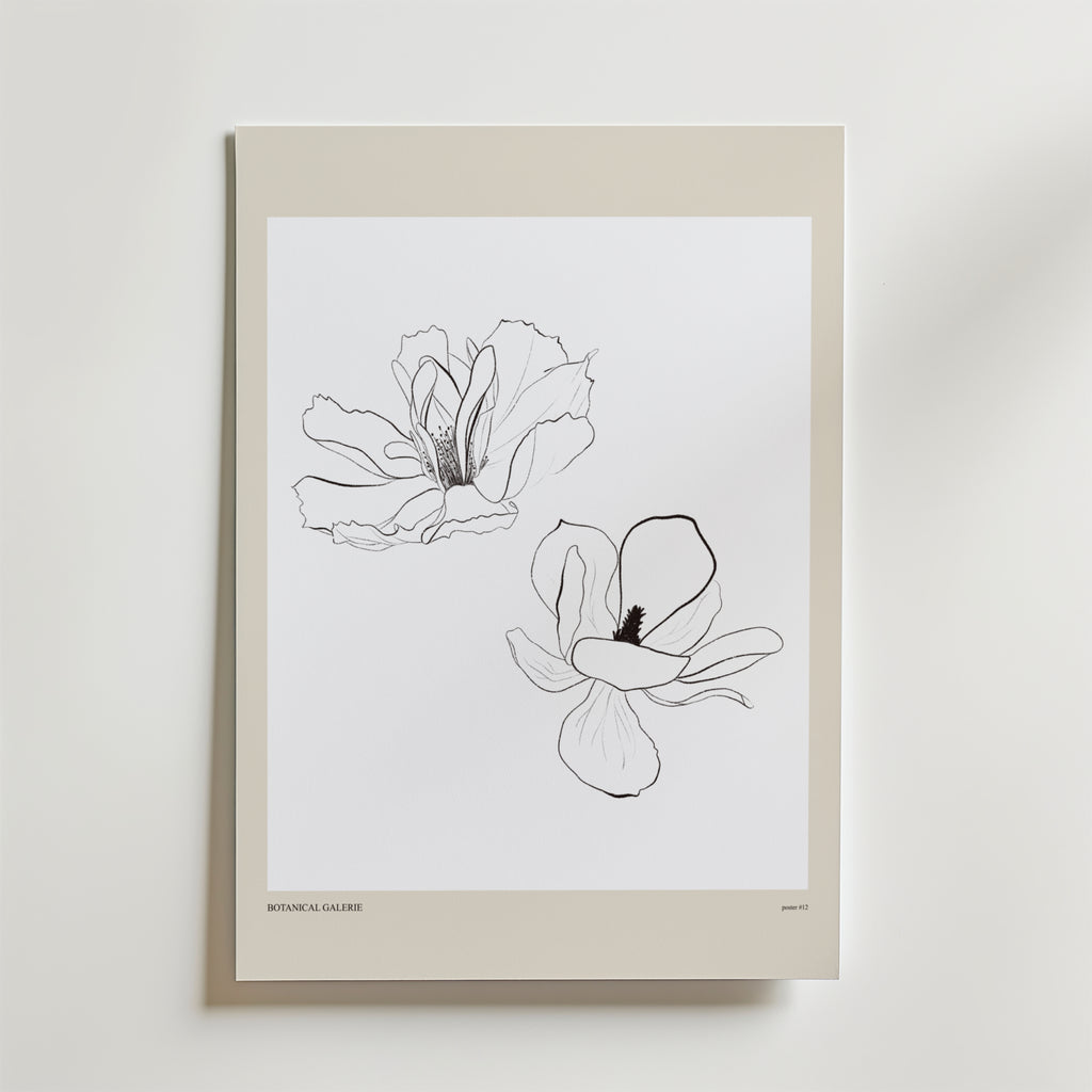 Airborne Grace Poster by Bozetto visar två svartvita magnolia linjeteckningar på en vit bakgrund med en beige kant - ett elegant val för fans av botanisk inredning och skandinaviska interiörer.