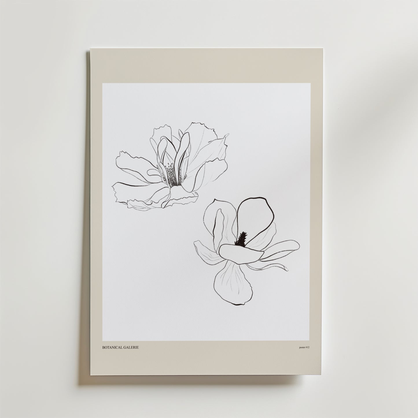 Airborne Grace Poster
