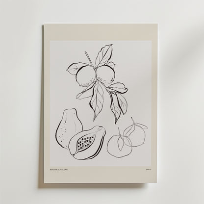 The Shape Of Plenty Poster by Bozetto visar en minimalistisk svartvit botanisk illustration av citrusfrukter och papayor på en vit bakgrund med en ljusbeige kant och erbjuder en modern fruktstil för alla konstnärliga postersamlingar.