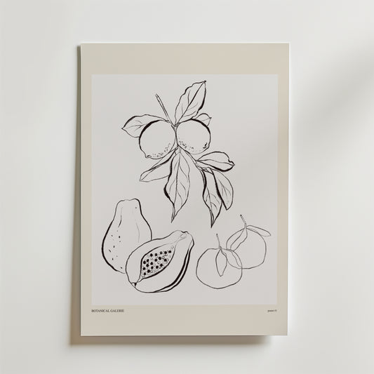The Shape Of Plenty Poster