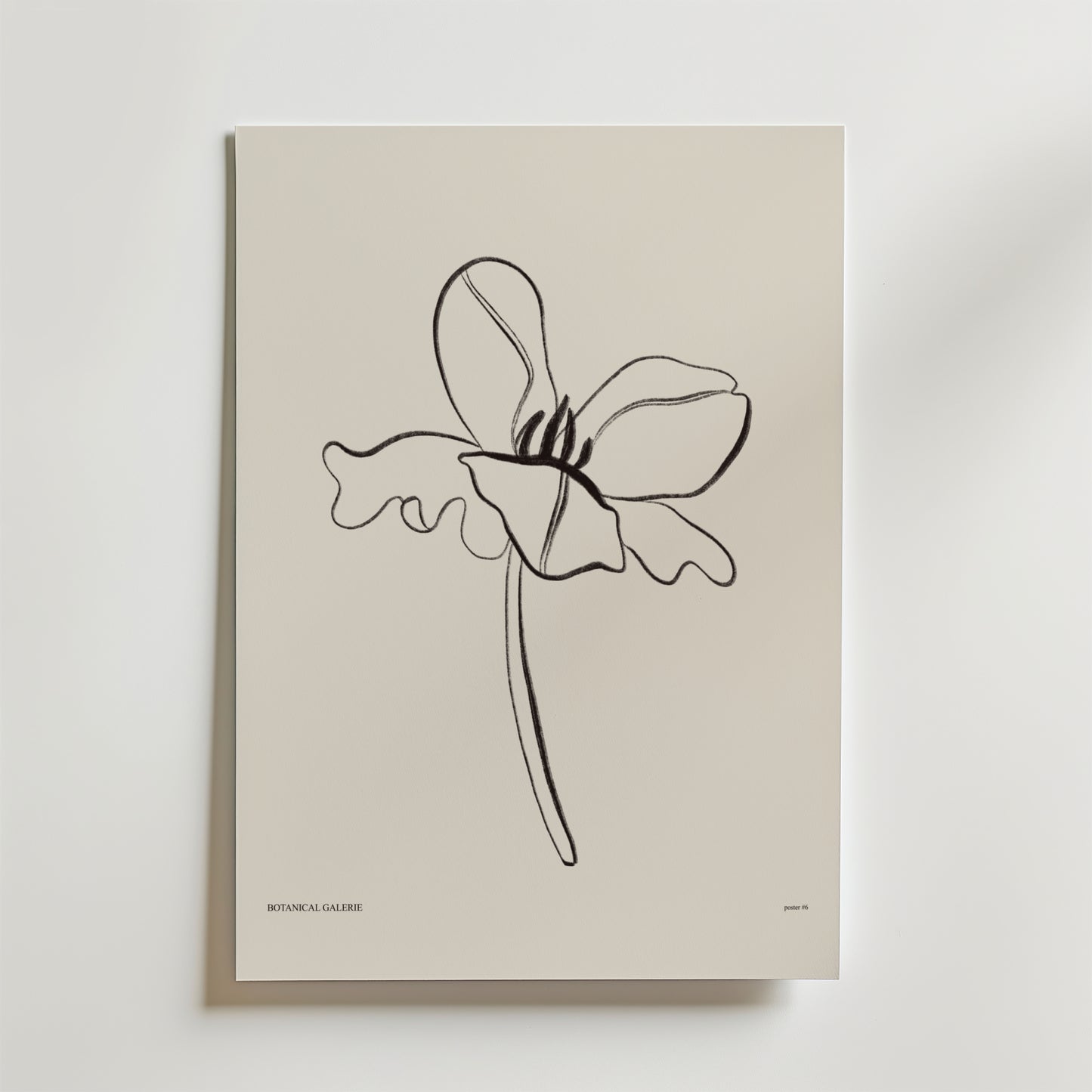 Born To Unfold Poster