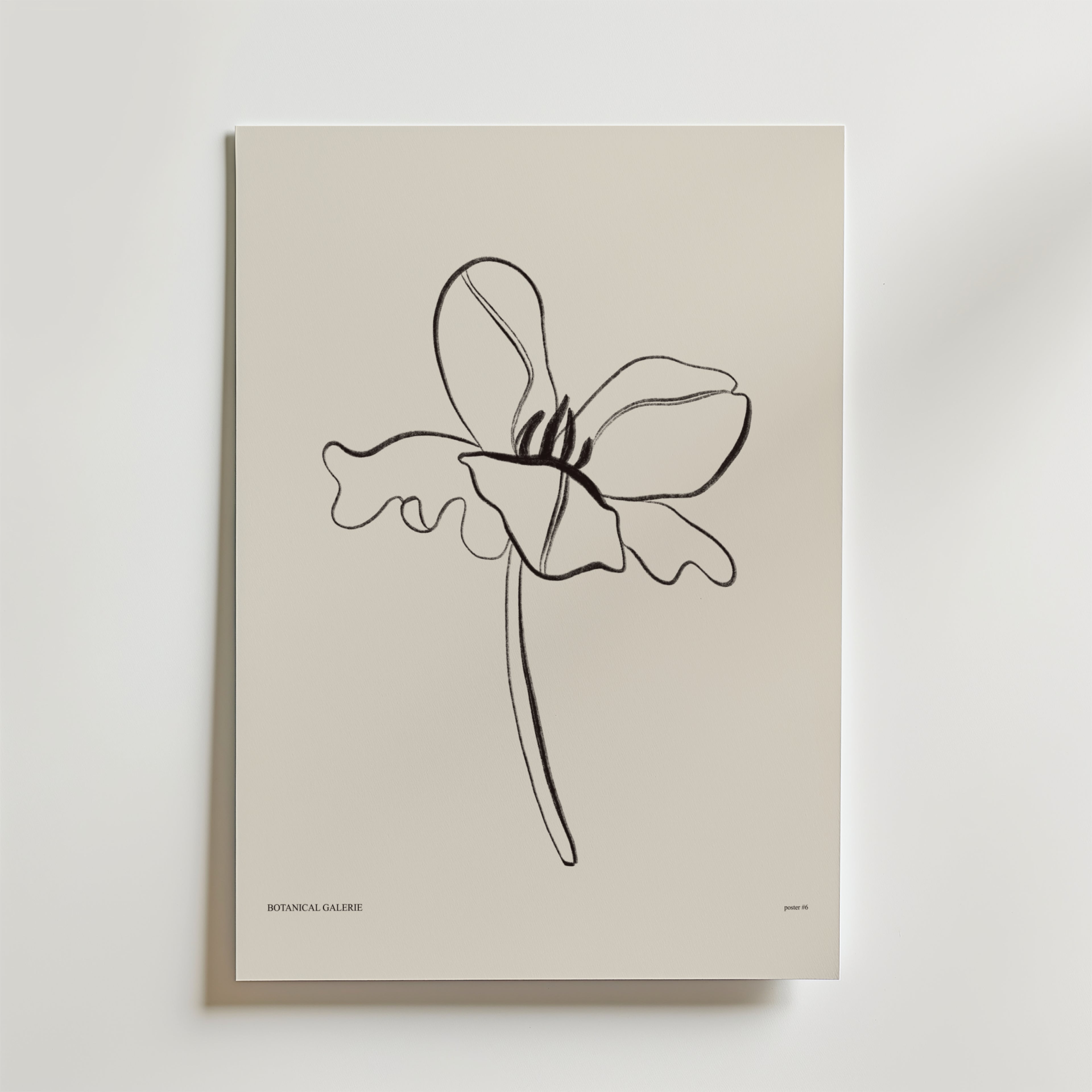 Postern Born To Unfold från Bozetto har minimalistiska svarta linjer av en enda bredbladig blomma med en vågig stjälk på en benvit bakgrund - ett lugnt och modernt blomsterprint för alla rum.