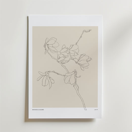 Soft Reaching Poster