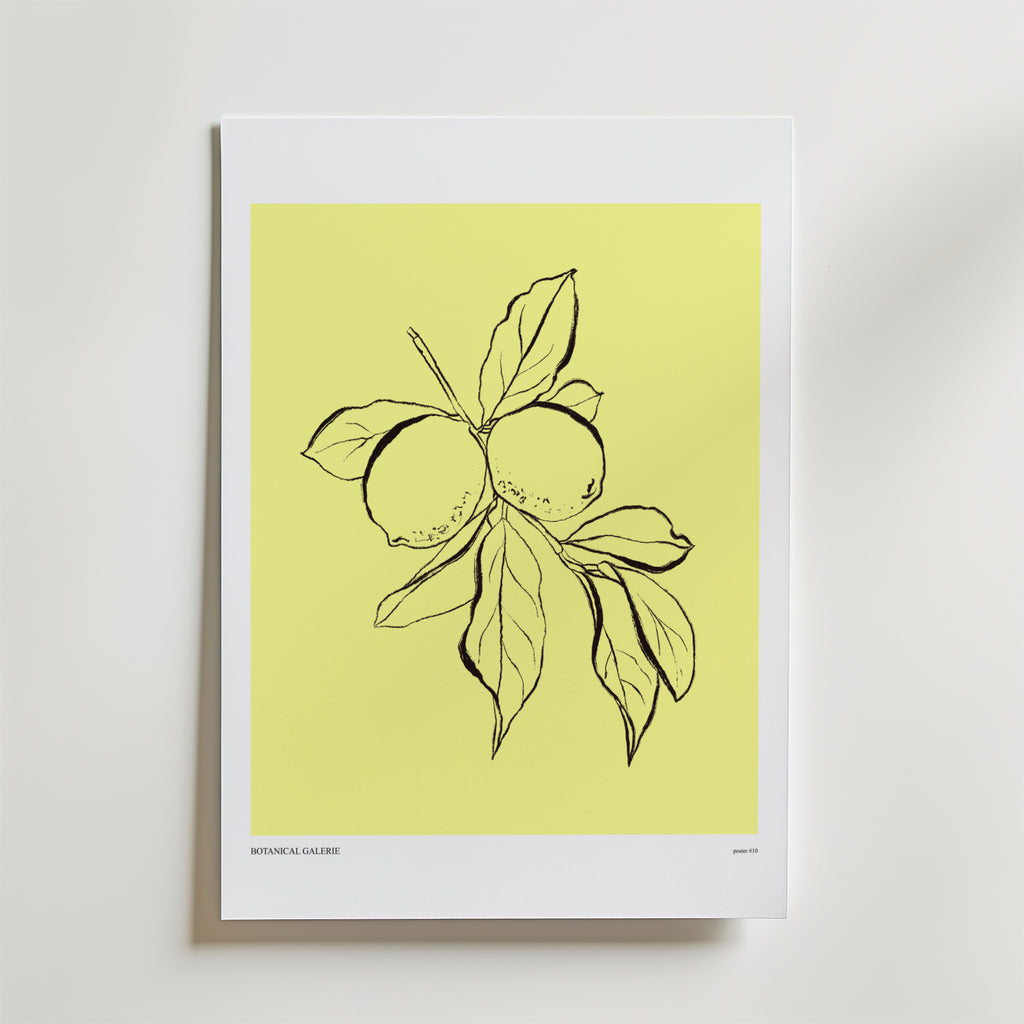 Bozetto Botanical Lemon Poster har en minimalistisk svart linjeteckning av två citroner med blad på en gul bakgrund, kantad i vitt och placerad mot en vit vägg.