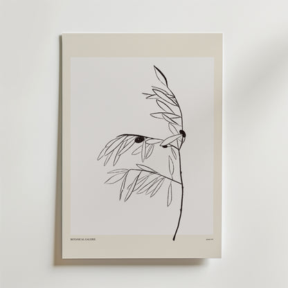 Olive Whisper Poster by Bozetto är en minimalistisk botanisk konstprint med en tunn svart stam, smala blad och två mörka cirklar på en vit bakgrund med en ljusbeige kant. "BOTANICA GALLERIE" är tryckt längst ner.