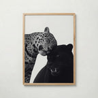 Spots and Shadow Poster – ekram