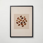 Umber Scatter Poster – svart ram