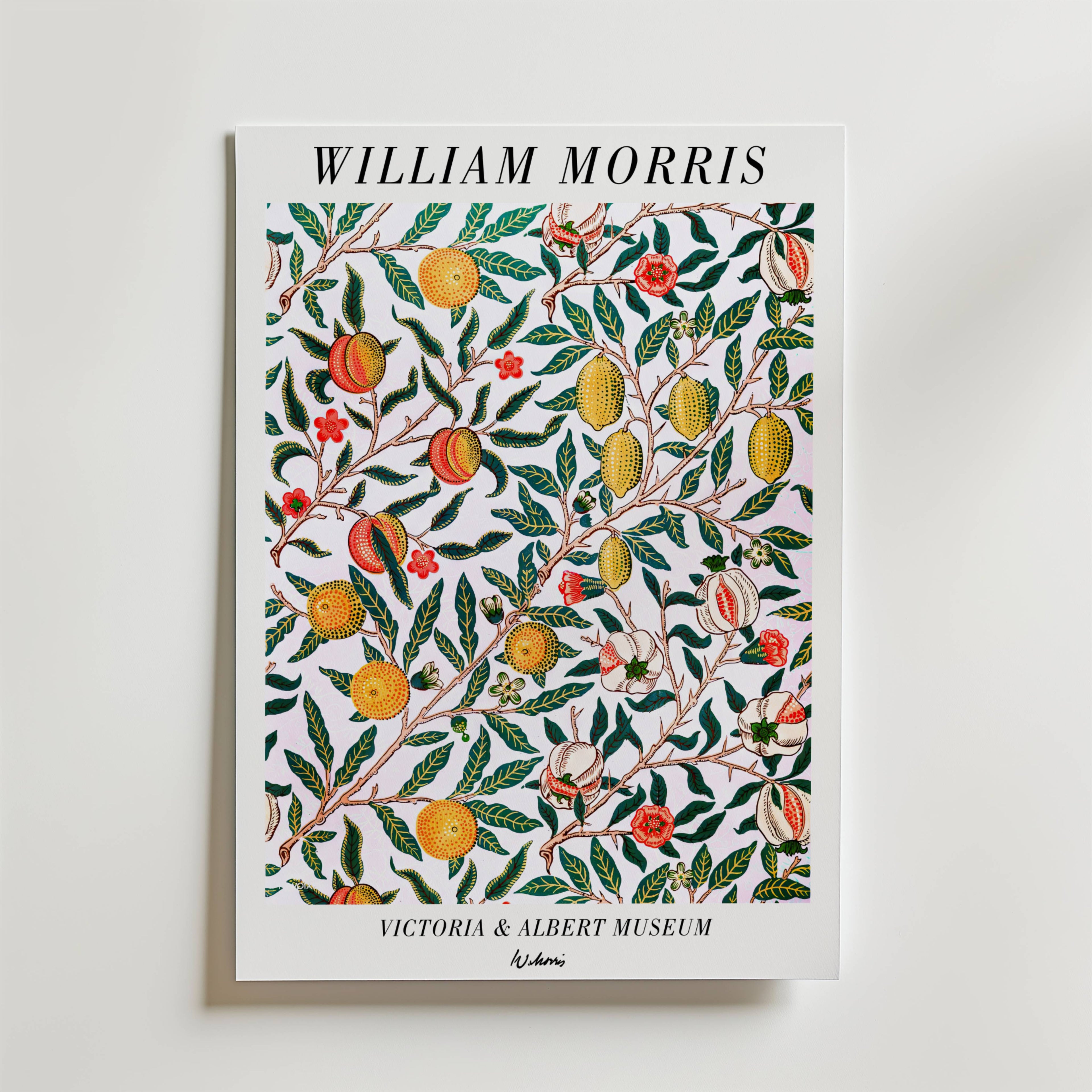 En livfull botanisk William Morris-affisch av Bozetto med gul och orange frukt, röda blommor, gröna blad och märkt "Victoria & Albert Museum" med "V&Amini". Produkt: William Morris Victoria & Albert Museum No. 2 Poster.